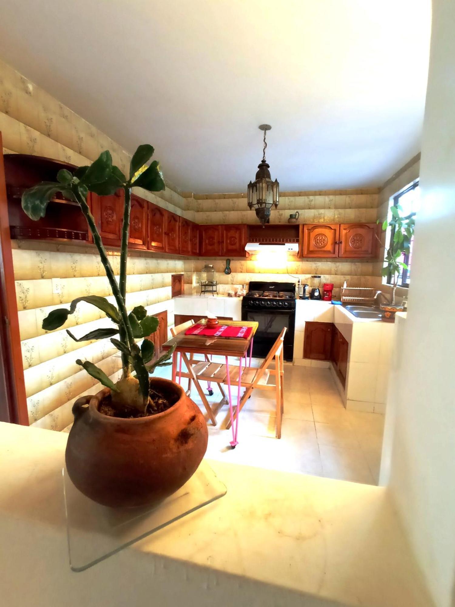 Kaza Muta Bed & Breakfast ซานกริสโตบัล เด ลาสกาซาส ภายนอก รูปภาพ